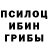 Галлюциногенные грибы прущие грибы jonno Rousseau